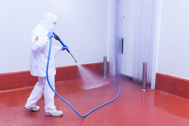 Animal Enclosure Cleaning in Layton, UT