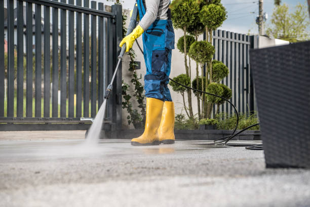 Best Fence Cleaning  in Layton, UT