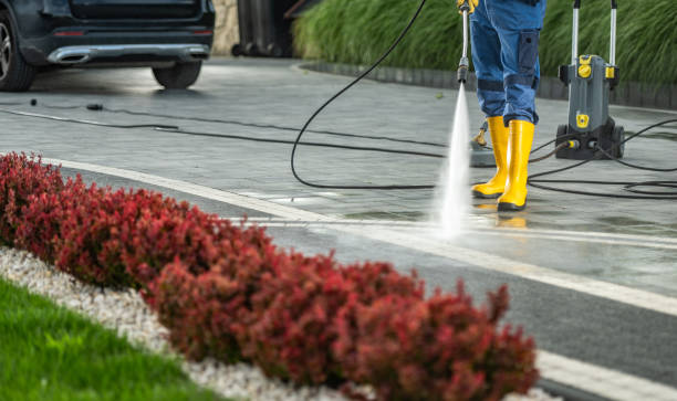 Best Driveway Pressure Washing  in Layton, UT
